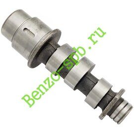 Распредвал Champion DG3601E
